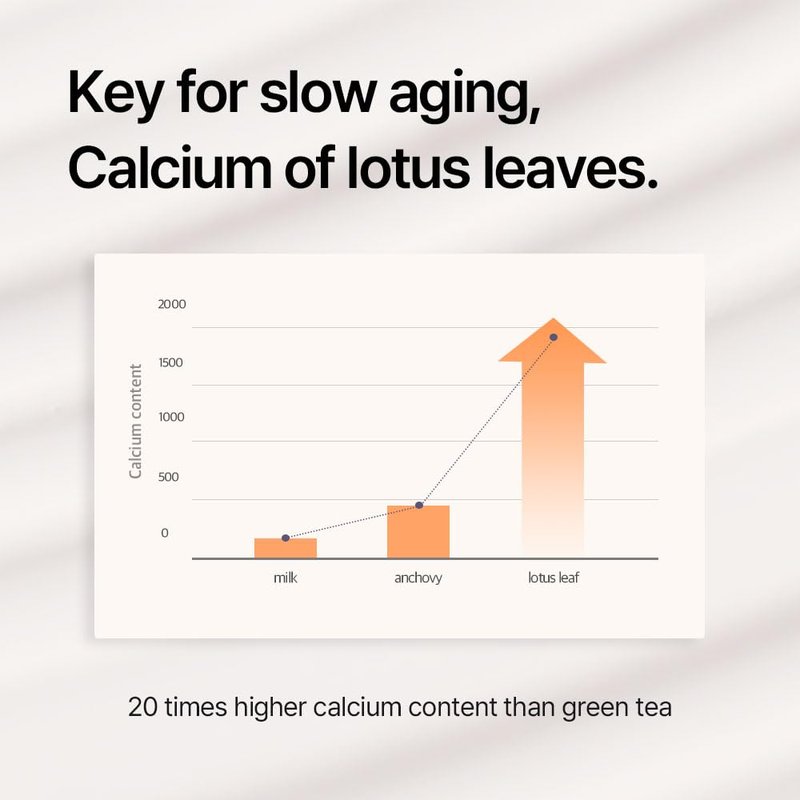 THEPURELOTUS Youthbiotics Lotus Probiotic Concentrate Serum (2.70 fl.oz) – Hydrating Korean Age-defying Non-Sticky Soothing Face Serum, Jeju Fermented Lotus 34,490ppm, 8 Probiotics, Cica, Panthenol