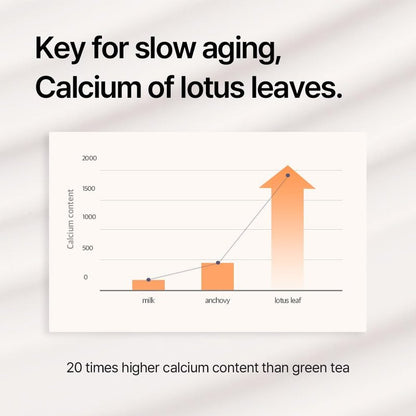 THEPURELOTUS Youthbiotics Lotus Probiotic Concentrate Serum (2.70 fl.oz) – Hydrating Korean Age-defying Non-Sticky Soothing Face Serum, Jeju Fermented Lotus 34,490ppm, 8 Probiotics, Cica, Panthenol