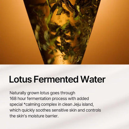 THEPURELOTUS Youthbiotics Lotus Probiotic Concentrate Serum (2.70 fl.oz) – Hydrating Korean Age-defying Non-Sticky Soothing Face Serum, Jeju Fermented Lotus 34,490ppm, 8 Probiotics, Cica, Panthenol