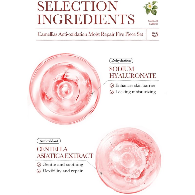 BIOAQUA Camellias Anti-Oxidation Moist Repair Toner Essence Face Cream Cleanser Lotion Camelia Flower Extract Serum Nourishing Emollient Moisturizing Skin Gift Box 100ml+30ml+50g+80g+100ml 5PCS Set