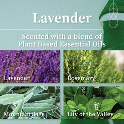 Hemlock Park Lavender Artisanal Spa Gift Box | Apothecary Candle, Shea Butter Soap, Bath Bomb, Mineral Salt Bath Soak | Handcrafted with Plant Based Ingredients