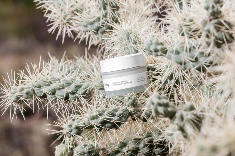 Huxley Secret of Sahara Fresh and More Cream, Lightweight Hydrating Korean Gel Face Cream, Non-Sticky Fast-Absorbing, Moroccan Cactus Water + Extract, Prickly Pear Seed Oil, 50 ml /1.69 fl. oz.