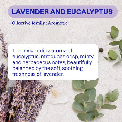 ATTITUDE Odor Eliminator with Activated Carbon, Plant-Based Air Purifier, Vegan, Lavender & Eucalyptus Scent, 8 Ounces