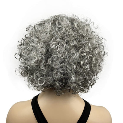 Onemliy Grey Wigs for Women Short Curly Asymmetrical Synthetic Fiber Ombre Silver Gray Wig for Halloween Cosplay Costume Party